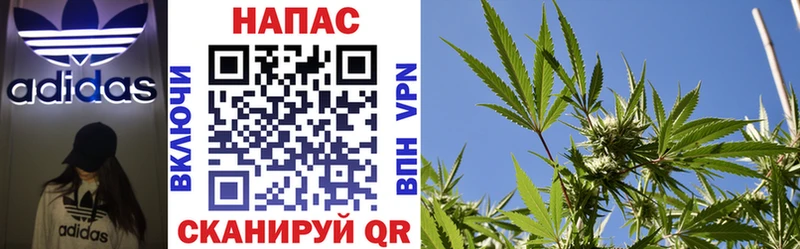 Шишки марихуана Amnesia  Балашиха 